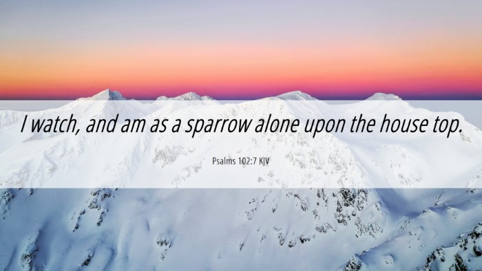 Picture 06 - Psalms 102:7 KJV Desktop Wallpaper - I watch, and am as a sparrow alone upon the house - Desktop Bible Verse Wallpaper