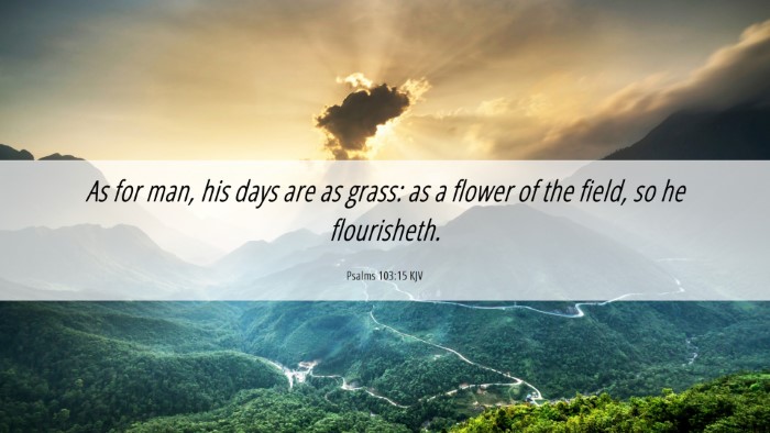 Picture 06 - Psalms 103:15 KJV Desktop Wallpaper - As for man, his days are as grass: as a flower of - Desktop Bible Verse Wallpaper