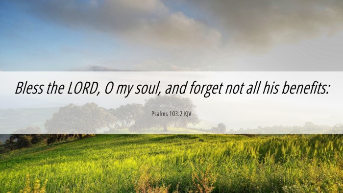 Picture 06 - Psalms 103:2 KJV Desktop Wallpaper - Bless the LORD, O my soul, and forget not all his - Desktop Bible Verse Wallpaper