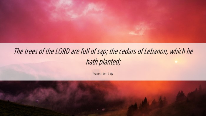 Picture 06 - Psalms 104:16 KJV Desktop Wallpaper - The trees of the LORD are full of sap; the cedars - Desktop Bible Verse Wallpaper