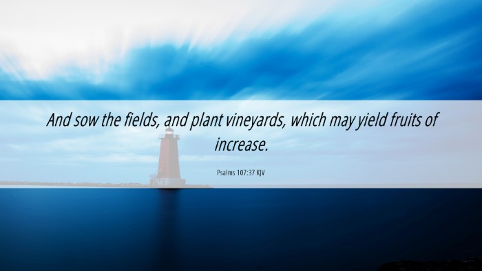 Picture 06 - Psalms 107:37 KJV Desktop Wallpaper - And sow the fields, and plant vineyards, which - Desktop Bible Verse Wallpaper