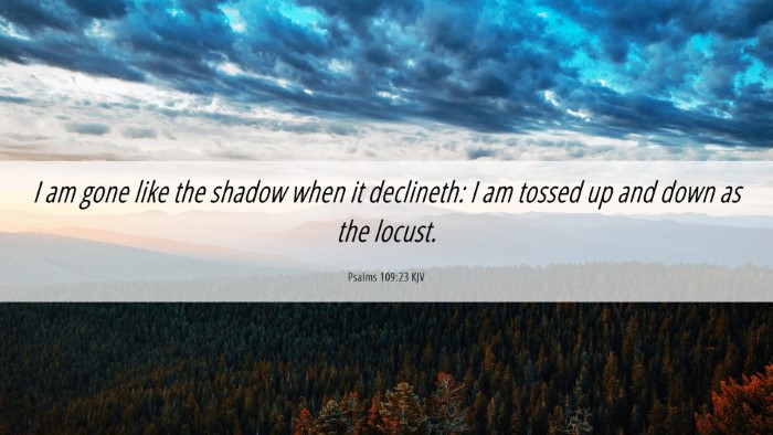 Picture 06 - Psalms 109:23 KJV Desktop Wallpaper - I am gone like the shadow when it declineth: I am - Desktop Bible Verse Wallpaper
