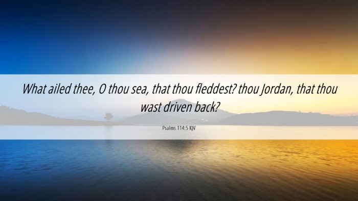 Picture 06 - Psalms 114:5 KJV Desktop Wallpaper - What ailed thee, O thou sea, that thou fleddest? - Desktop Bible Verse Wallpaper