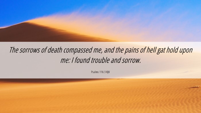 Picture 06 - Psalms 116:3 KJV Desktop Wallpaper - The sorrows of death compassed me, and the pains - Desktop Bible Verse Wallpaper