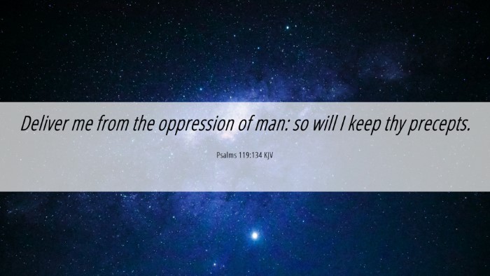 Picture 06 - Psalms 119:134 KJV Desktop Wallpaper - Deliver me from the oppression of man: so will I - Desktop Bible Verse Wallpaper