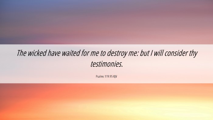 Picture 06 - Psalms 119:95 KJV Desktop Wallpaper - The wicked have waited for me to destroy me: but - Desktop Bible Verse Wallpaper