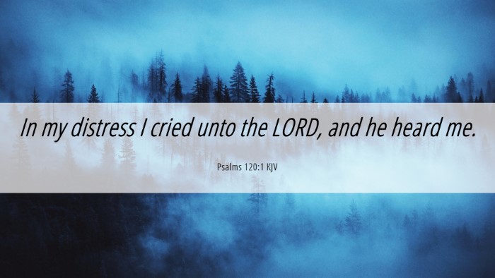 Picture 06 - Psalms 120:1 KJV Desktop Wallpaper - In my distress I cried unto the LORD, and he - Desktop Bible Verse Wallpaper