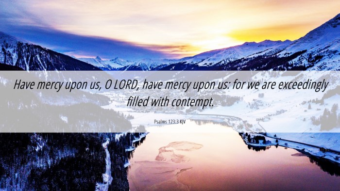 Picture 06 - Psalms 123:3 KJV Desktop Wallpaper - Have mercy upon us, O LORD, have mercy upon us: - Desktop Bible Verse Wallpaper