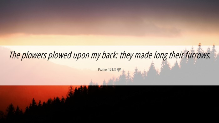 Picture 06 - Psalms 129:3 KJV Desktop Wallpaper - The plowers plowed upon my back: they made long - Desktop Bible Verse Wallpaper