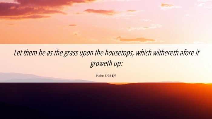 Picture 06 - Psalms 129:6 KJV Desktop Wallpaper - Let them be as the grass upon the housetops, - Desktop Bible Verse Wallpaper