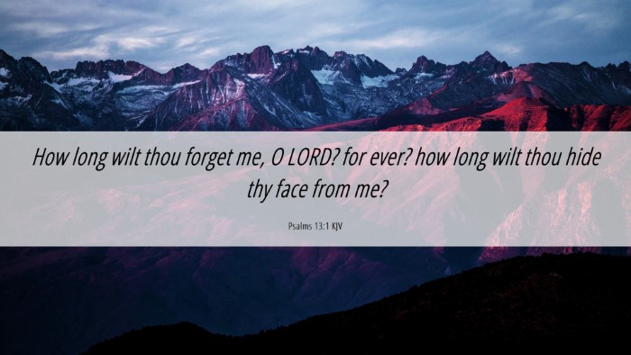 Picture 06 - Psalms 13:1 KJV Desktop Wallpaper - How long wilt thou forget me, O LORD? for ever? - Desktop Bible Verse Wallpaper