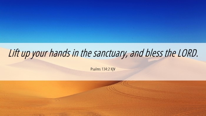 Picture 06 - Psalms 134:2 KJV Desktop Wallpaper - Lift up your hands in the sanctuary, and bless - Desktop Bible Verse Wallpaper