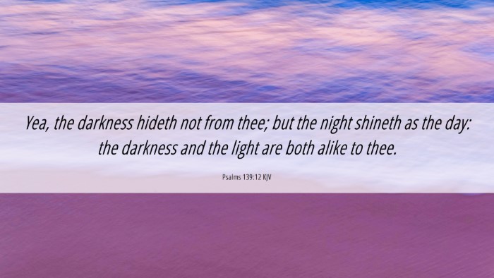 Picture 06 - Psalms 139:12 KJV Desktop Wallpaper - Yea, the darkness hideth not from thee; but the - Desktop Bible Verse Wallpaper