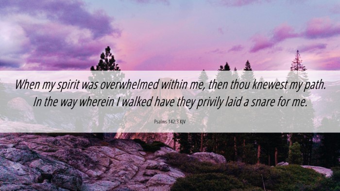 Picture 06 - Psalms 142:3 KJV Desktop Wallpaper - When my spirit was overwhelmed within me, then - Desktop Bible Verse Wallpaper