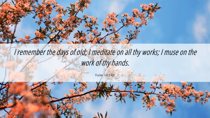 Picture 06 - Psalms 143:5 KJV Desktop Wallpaper - I remember the days of old; I meditate on all thy - Desktop Bible Verse Wallpaper