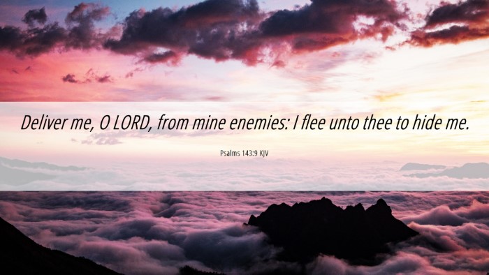 Picture 06 - Psalms 143:9 KJV Desktop Wallpaper - Deliver me, O LORD, from mine enemies: I flee - Desktop Bible Verse Wallpaper