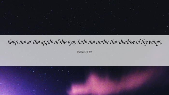 Picture 06 - Psalms 17:8 KJV Desktop Wallpaper - Keep me as the apple of the eye, hide me under - Desktop Bible Verse Wallpaper