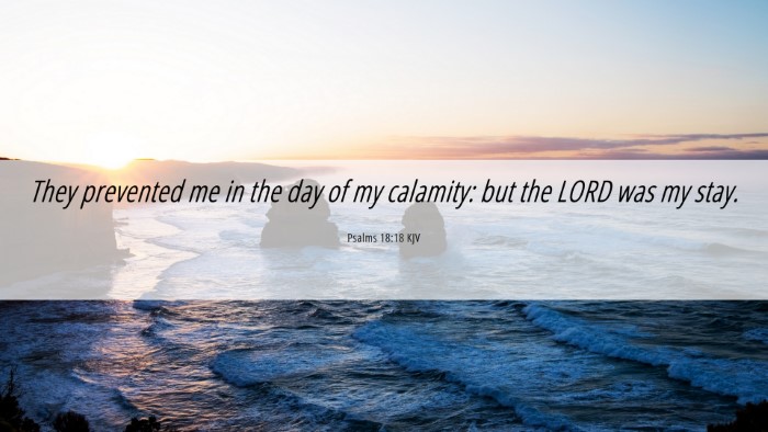 Picture 06 - Psalms 18:18 KJV Desktop Wallpaper - They prevented me in the day of my calamity: but - Desktop Bible Verse Wallpaper