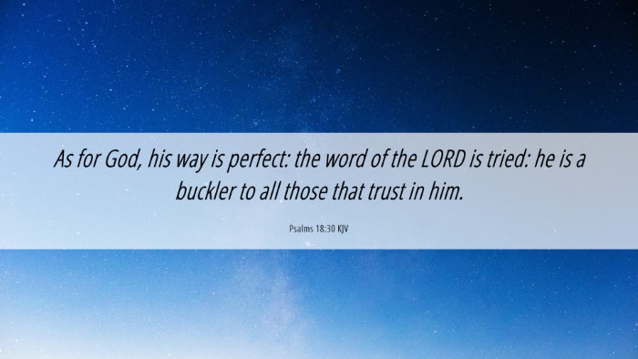 Picture 06 - Psalms 18:30 KJV Desktop Wallpaper - As for God, his way is perfect: the word of the - Desktop Bible Verse Wallpaper