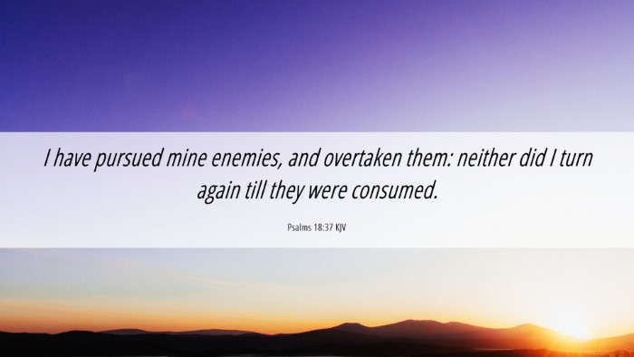 Picture 06 - Psalms 18:37 KJV Desktop Wallpaper - I have pursued mine enemies, and overtaken them: - Desktop Bible Verse Wallpaper