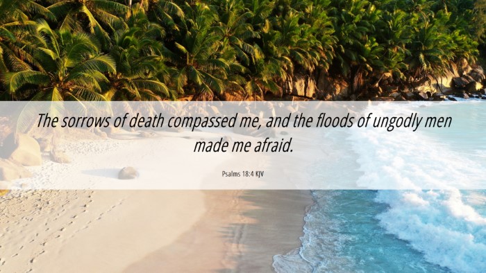 Picture 06 - Psalms 18:4 KJV Desktop Wallpaper - The sorrows of death compassed me, and the floods - Desktop Bible Verse Wallpaper