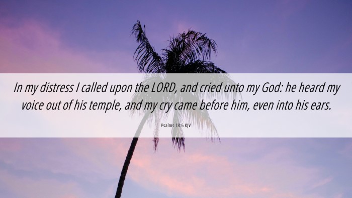 Picture 06 - Psalms 18:6 KJV Desktop Wallpaper - In my distress I called upon the LORD, and cried - Desktop Bible Verse Wallpaper
