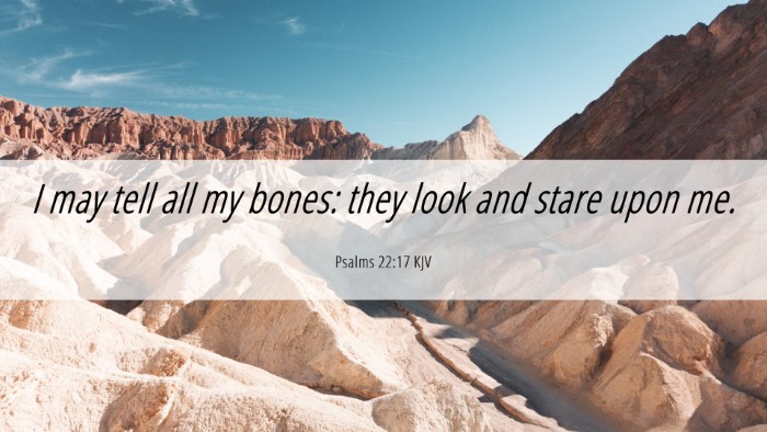 Picture 06 - Psalms 22:17 KJV Desktop Wallpaper - I may tell all my bones: they look and stare upon - Desktop Bible Verse Wallpaper