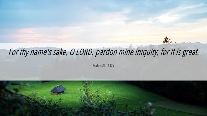 Picture 06 - Psalms 25:11 KJV Desktop Wallpaper - For thy name's sake, O LORD, pardon mine - Desktop Bible Verse Wallpaper
