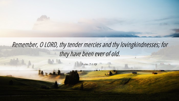 Picture 06 - Psalms 25:6 KJV Desktop Wallpaper - Remember, O LORD, thy tender mercies and thy - Desktop Bible Verse Wallpaper