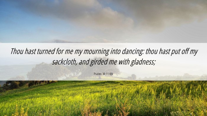 Picture 06 - Psalms 30:11 KJV Desktop Wallpaper - Thou hast turned for me my mourning into dancing: - Desktop Bible Verse Wallpaper
