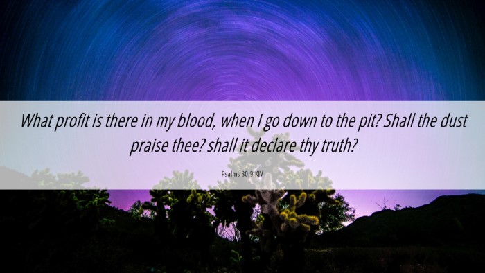 Picture 06 - Psalms 30:9 KJV Desktop Wallpaper - What profit is there in my blood, when I go down - Desktop Bible Verse Wallpaper