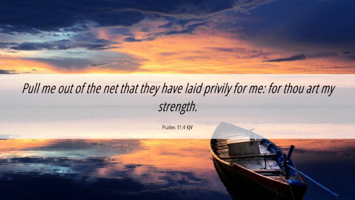 Picture 06 - Psalms 31:4 KJV Desktop Wallpaper - Pull me out of the net that they have laid - Desktop Bible Verse Wallpaper