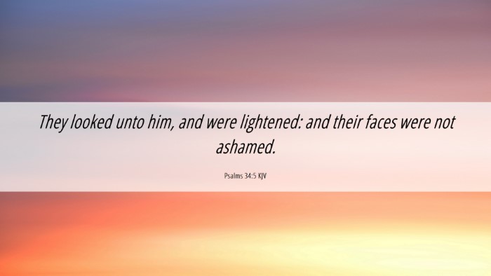 Picture 06 - Psalms 34:5 KJV Desktop Wallpaper - They looked unto him, and were lightened: and - Desktop Bible Verse Wallpaper