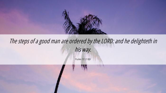 Picture 06 - Psalms 37:23 KJV Desktop Wallpaper - The steps of a good man are ordered by the LORD: - Desktop Bible Verse Wallpaper