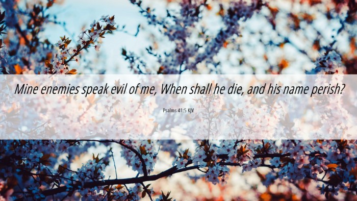 Picture 06 - Psalms 41:5 KJV Desktop Wallpaper - Mine enemies speak evil of me, When shall he die, - Desktop Bible Verse Wallpaper