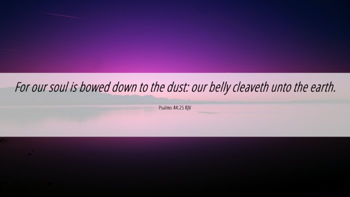 Picture 06 - Psalms 44:25 KJV Desktop Wallpaper - For our soul is bowed down to the dust: our belly - Desktop Bible Verse Wallpaper