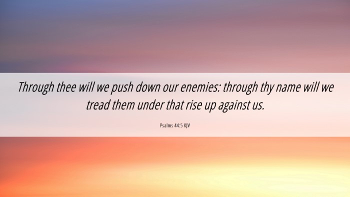 Picture 06 - Psalms 44:5 KJV Desktop Wallpaper - Through thee will we push down our enemies: - Desktop Bible Verse Wallpaper