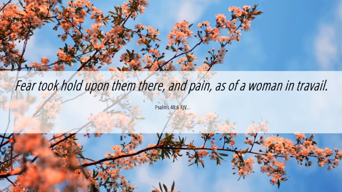 Picture 06 - Psalms 48:6 KJV Desktop Wallpaper - Fear took hold upon them there, and pain, as of a - Desktop Bible Verse Wallpaper