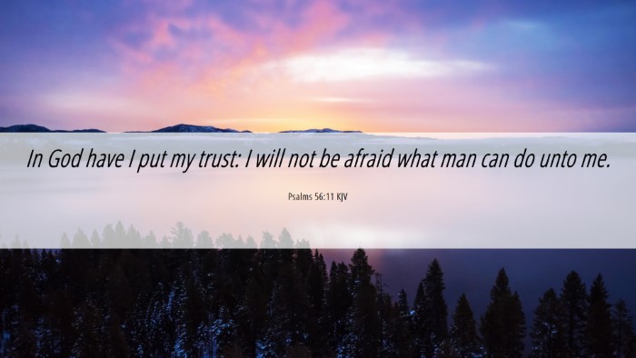 Picture 06 - Psalms 56:11 KJV Desktop Wallpaper - In God have I put my trust: I will not be afraid - Desktop Bible Verse Wallpaper