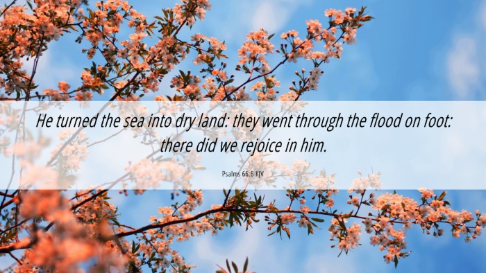 Picture 06 - Psalms 66:6 KJV Desktop Wallpaper - He turned the sea into dry land: they went - Desktop Bible Verse Wallpaper
