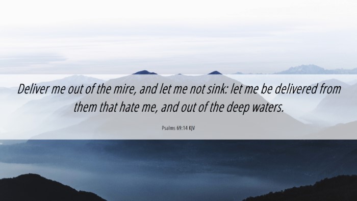 Picture 06 - Psalms 69:14 KJV Desktop Wallpaper - Deliver me out of the mire, and let me not sink: - Desktop Bible Verse Wallpaper