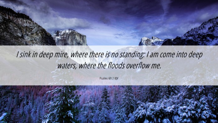 Picture 06 - Psalms 69:2 KJV Desktop Wallpaper - I sink in deep mire, where there is no standing: - Desktop Bible Verse Wallpaper