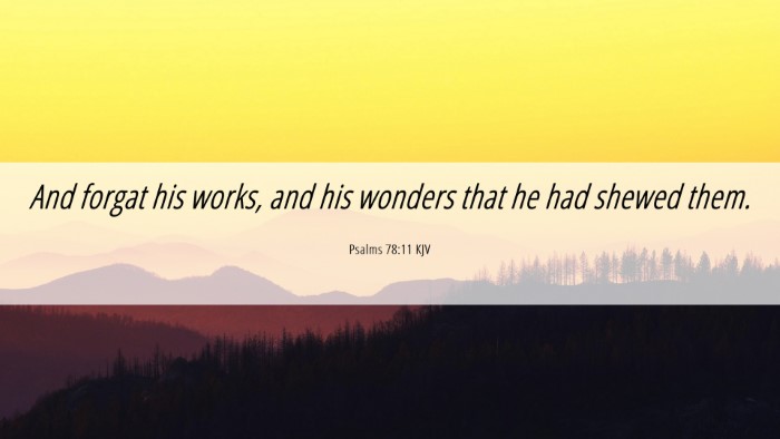 Picture 06 - Psalms 78:11 KJV Desktop Wallpaper - And forgat his works, and his wonders that he had - Desktop Bible Verse Wallpaper