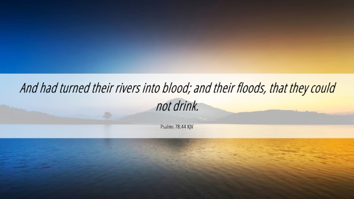 Picture 06 - Psalms 78:44 KJV Desktop Wallpaper - And had turned their rivers into blood; and their - Desktop Bible Verse Wallpaper