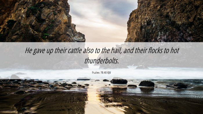 Picture 06 - Psalms 78:48 KJV Desktop Wallpaper - He gave up their cattle also to the hail, and - Desktop Bible Verse Wallpaper
