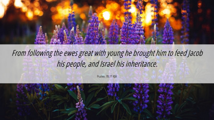 Picture 06 - Psalms 78:71 KJV Desktop Wallpaper - From following the ewes great with young he - Desktop Bible Verse Wallpaper