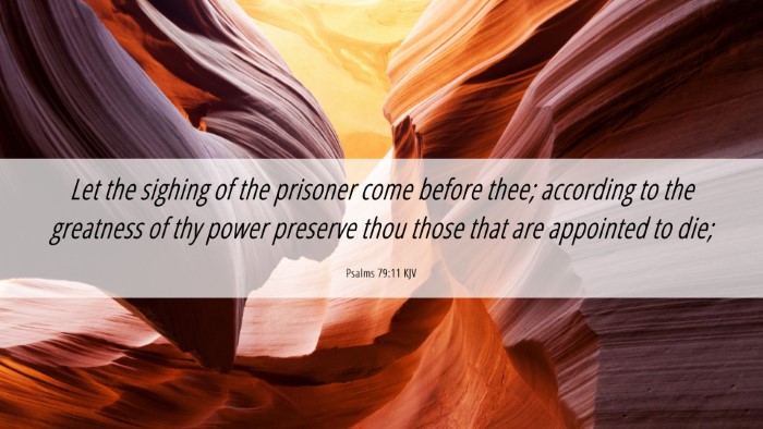 Picture 06 - Psalms 79:11 KJV Desktop Wallpaper - Let the sighing of the prisoner come before thee; - Desktop Bible Verse Wallpaper