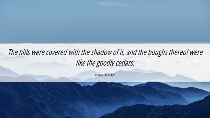 Picture 06 - Psalms 80:10 KJV Desktop Wallpaper - The hills were covered with the shadow of it, and - Desktop Bible Verse Wallpaper