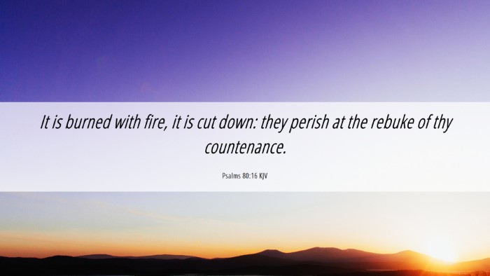Picture 06 - Psalms 80:16 KJV Desktop Wallpaper - It is burned with fire, it is cut down: they - Desktop Bible Verse Wallpaper