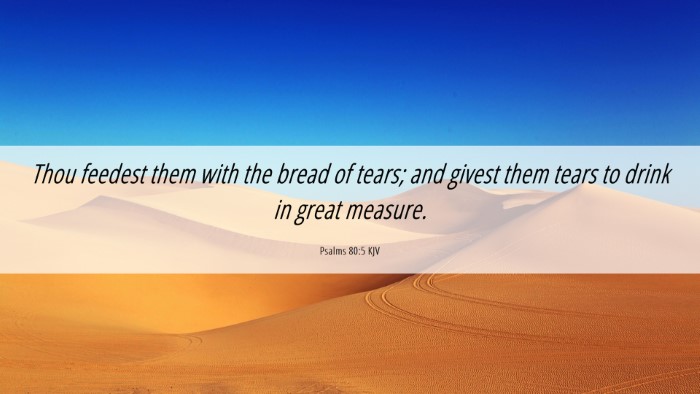 Picture 06 - Psalms 80:5 KJV Desktop Wallpaper - Thou feedest them with the bread of tears; and - Desktop Bible Verse Wallpaper